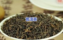 同庆堂普洱茶官网2009年茶饼，探索古韵：同庆堂普洱茶官网2009年茶饼的魅力与价值