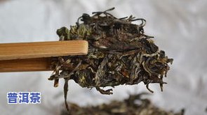 云南老班章古树茶多少钱一斤？最新价格行情解析