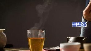 普洱茶刮风寨的特点、价格与功效全解析