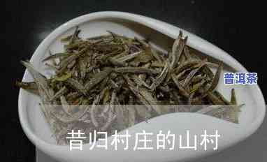 最贵的普洱茶多少钱一克，探寻茶叶珍品：普洱茶中的价格之王，每克价值几何？