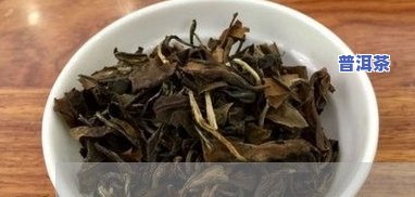 冰岛普洱茶哪里产的好，揭秘冰岛普洱茶的产地，哪种更好？