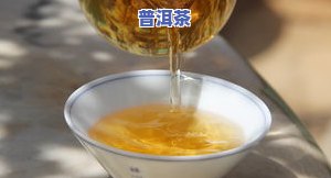 普洱茶饼正确冲泡方法及技巧全解析视频