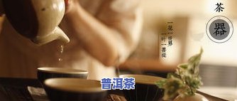 信香园茶叶：什么茶类？什么类型的茶？