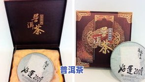 云南麻栗树图片大全：高清大图展示云南省分布最多的麻栗树景象