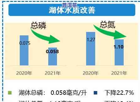 普洱生茶推荐款-普洱生茶推荐款有哪些