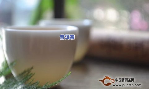 御举茗2018年冰岛普洱茶价格是多少？了解详细售价信息！