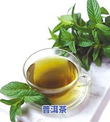 御举茗2018年冰岛普洱茶价格是多少？了解详细售价信息！