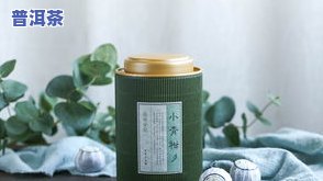 剑豪茶叶属于什么茶-天柱剑豪茶叶属于什么茶