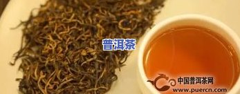 剑豪茶叶属于什么茶-天柱剑豪茶叶属于什么茶