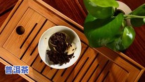 普洱茶88，品味云南：探索普洱茶的88种风味