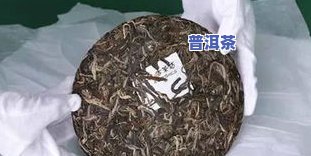 勐海南糯山普洱茶厂-勐海南糯山普洱茶厂05树昌号