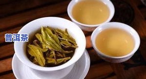 勐海南糯山普洱茶厂-勐海南糯山普洱茶厂05树昌号