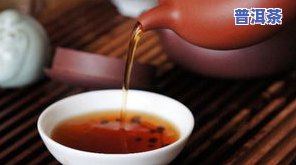 2009年老班章普洱茶价格全解：生茶、熟茶市场行情分析