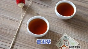 普洱茶用塑料整理箱存放安全吗？会有吗？