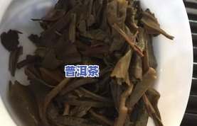 云南老班章：探寻顶级普洱茶的价格与故事