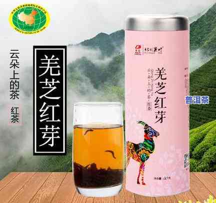 芒嘎拉古樹紅茶價格全揭秘:禮盒,斤裝,瓶裝一應俱全!