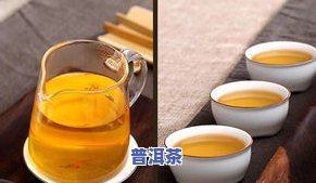 勐海老班章茶厂官网，探索顶级普洱茶的源头：访问勐海老班章茶厂官网