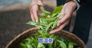 普洱茶打包图片高清图-普洱茶打包图片高清图大全