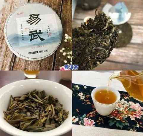 益壶春普洱茶价格查询官网：一站式获取最新价格信息