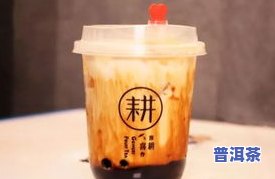 20年普洱生茶一饼能多少钱，探讨：20年普洱生茶一饼的市场价格是多少？