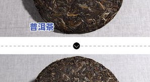 菊花普洱茶下火吗？探讨其功效及适宜人群