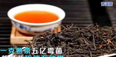 真纯雅普洱茶，品味生活，享受真纯雅普洱茶的韵味