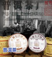 探究老班章、昔归、冰岛与普洱茶的关联性