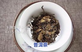 什么茶叶属于温性茶叶，了解茶叶属性：哪些茶叶属于温性？