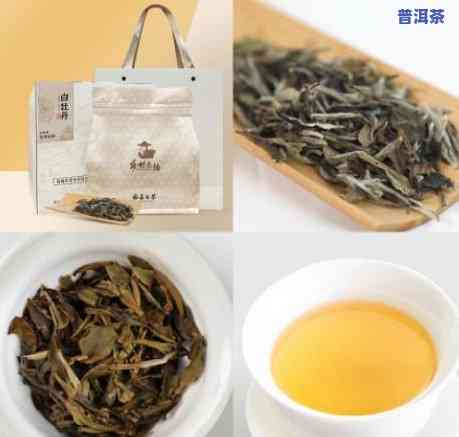 云南普洱茶合作企业排名-云南普洱茶合作企业排名榜