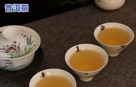 一天最多能喝几杯普洱茶-一天最多能喝几杯普洱茶啊