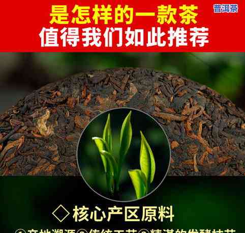 普洱茶怎么用茶针，茶艺初学者必看：怎样采用茶针冲泡普洱茶？