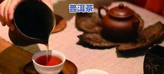 知名普洱茶代理条件：详细解析与请求