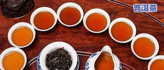 探究更佳普洱茶品种：图片全览与价格对比