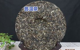 桑日普洱茶-桑普茶的作用