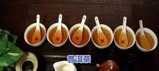 冰岛普洱熟茶苦不苦-冰岛普洱熟茶苦不苦呀