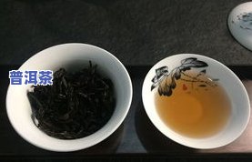 云南易武普洱茶饼价格查询最新网