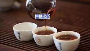 普洱茶与金银花茶混搭有何效果？能一起泡吗？