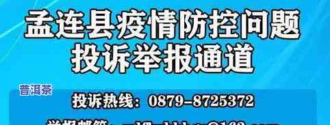 茉莉要打普洱茶吗视频教程，【茉莉打普洱茶】完整教学视频，带你轻松学会制作美味茶叶！