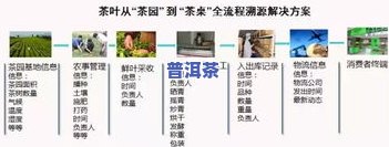 普洱茶存放技巧视频：怎样让茶叶保存更长久？