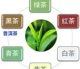 普洱茶行情走势图：最新动态及深度分析