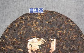 山阳茶叶属于什么茶种？详解其类别与特点