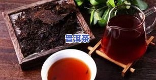 普洱茶5568，品味历史与文化的精髓：探索普洱茶的魅力——5568