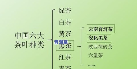 老班章：哪个最有名？全面解析各大的优劣