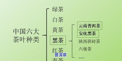 普洱茶5568，品味历史与文化的精髓：探索普洱茶的魅力——5568