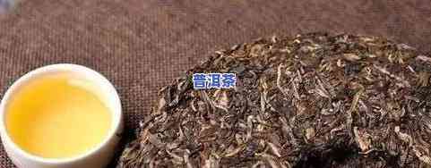 片片的茶叶是什么茶照片，揭秘茶叶世界：解析“片片的茶叶”究竟是什么茶的照片