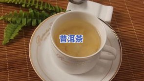 普洱茶单株是哪一年流行起来的，探秘普洱茶单株：流行起源及其发展历史