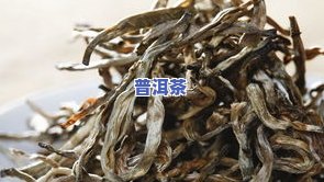 小片普洱茶介绍图片欣赏视频，探索普洱茶的奥秘：小片普洱茶介绍图片欣赏视频