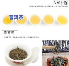 怎么看老班章真假，怎样辨别老班章普洱茶的真伪？