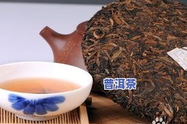 普洱茶一年能喝几饼？作用因素解析