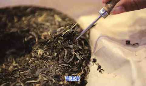 云南省普洱特种茶厂有哪些，探寻云南普洱特种茶厂：一探究竟